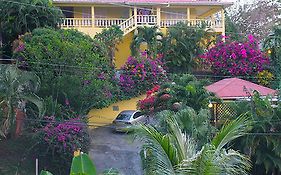 Hibiscus Heights
